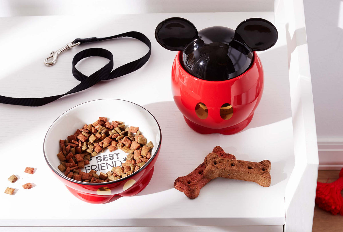 Disney dog food clearance bowl