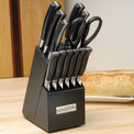 Vanguard Side 13 Piece Tang Knife Set With Block