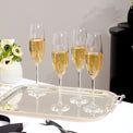 Tuscany Classics Champagne Glass Flute Set, Buy 4 Get 6