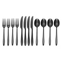 Ayla Black 12 Piece Flatware Set