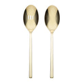 Allay Champagne Serving Spoons, Set of 2