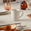 Ridge White 12 Piece Dinnerware Set