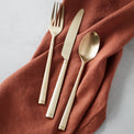 Robyn Satin Champagne Mist 20-Piece Flatware Set