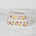 Tutti Fruity 4-Piece Serve & Store Dish Set