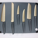 Robert Irvine 10-Piece Cutlery Set, Grey/Champagne