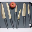 Robert Irvine 10-Piece Cutlery Set, Grey/Champagne