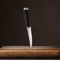 Epicure Black 4 Piece Steak Knife Set