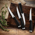 Epicure Black 4 Piece Steak Knife Set