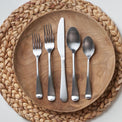 Rhiannon Satin 45-Piece Flatware Set