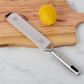 Elite Gadgets Stainless Steel Zest Grater