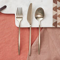 Gaze Champagne Satin 20-Piece Flatware Set